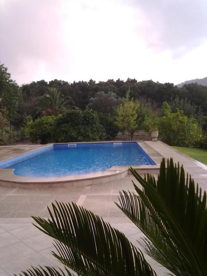 Villa Milagro - 3 Bedroom Finca Style Villa With Pool Near Golf Course/Beaches - Air Cond. Pollença Екстериор снимка